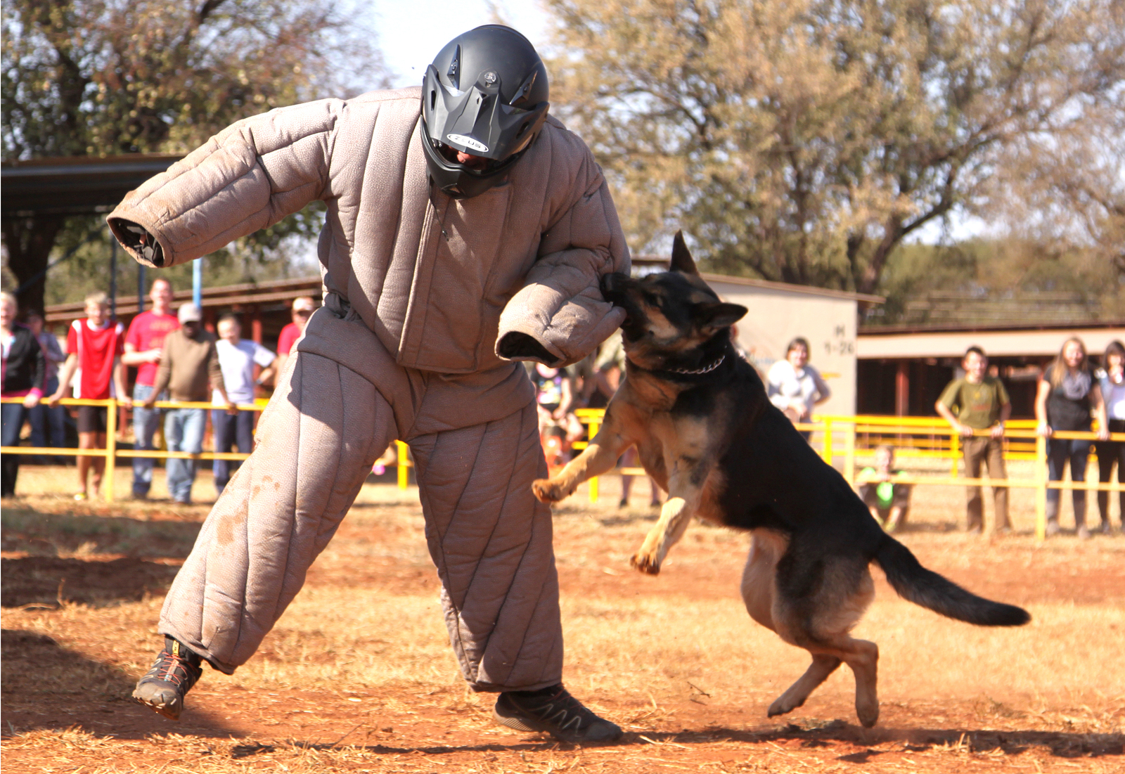 k9-executive-protection-training-bodyguardtraining